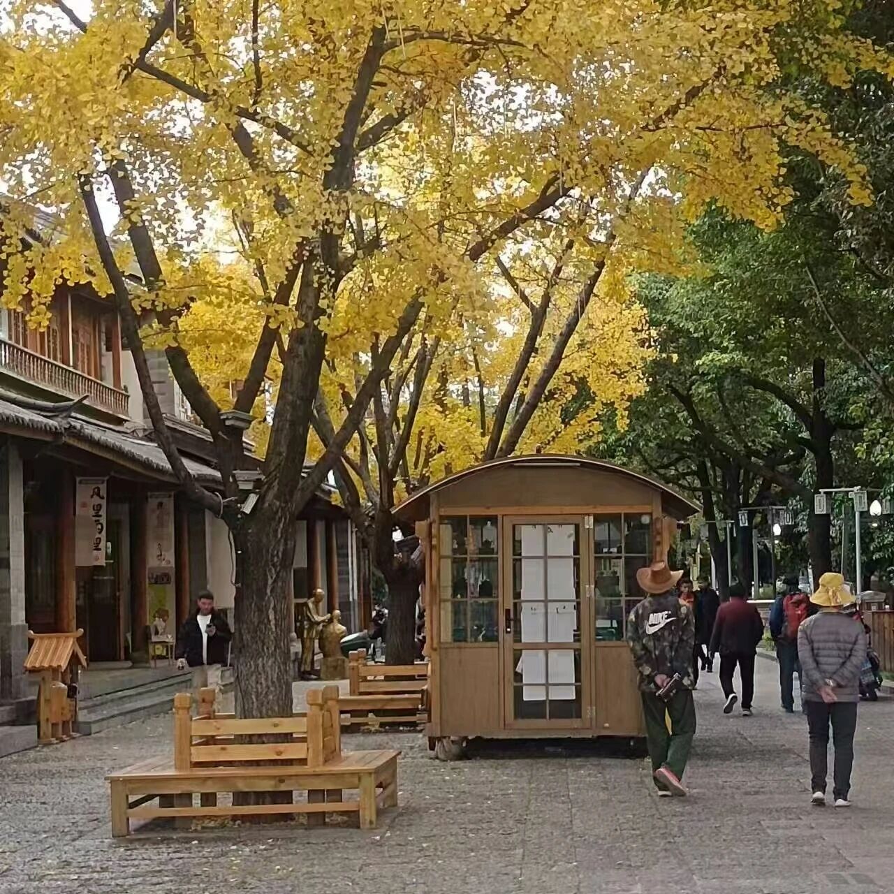 丽师青音Ⅱ家国同辉，共赏盛世华光